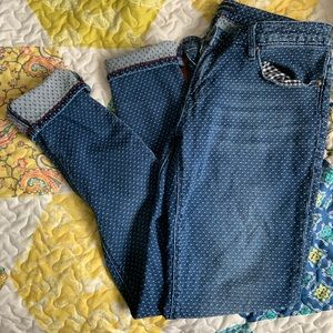 Teaser Embroidered skinny jeans